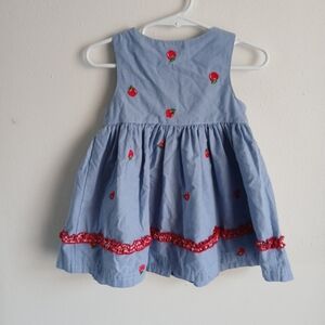 Girls Apple Embroidery Dress 12m